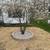 E&M LANDSCAPING LLC 24 thumbnail