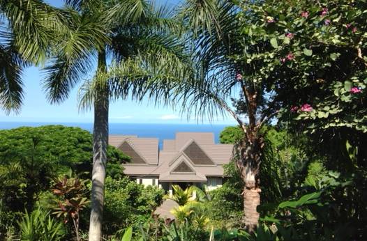 Skilled caretaker In Beautiful Kona, Hawaii 1