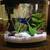 Small Aquarium 1 thumbnail