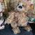Mohair musical bear. Artist made. Tan. 9.5" 3 thumbnail