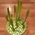 boon grass and cactus drying racks 1 thumbnail