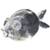 Like new 1960’s STEUBEN 7" Crystal Glass Puffer Fish Paperweight 1 thumbnail
