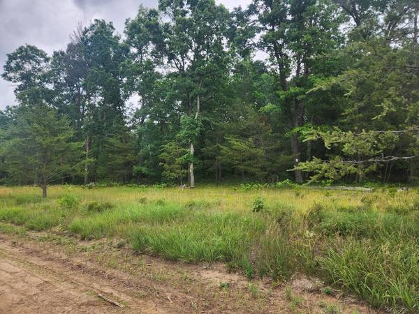 $68,900 10 Acres Vacant in Baldwin Land Build Your Dream Cabin! MLS#25035884 (Baldwin)64037895980675121