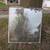 49" x 53" sheet of double pane glass 1 thumbnail