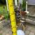 Vintage Frederick Cooper Faux Bamboo walnut & brass floor lamp A262 12 thumbnail