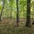 3 Acres of Mature Uncut Hardwood Forest in Marinette County 3 thumbnail