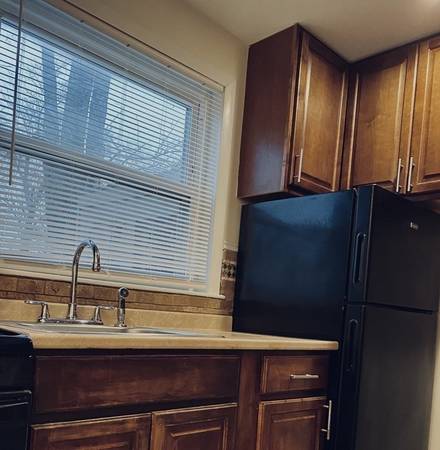 2 Roommates Needed Or Some one to rent the entire apt 1