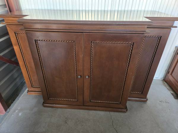 Extraordinary Media Cabinet/Statement Piece 1