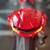 USED 2023 Ducati Monster Plus - #5465 9 thumbnail