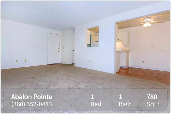 $1,500 / 1br - 780ft2 - Beautiful 1 bed / 1 bath in a great neighborhood! Ready to view now! (Olympia - Westgate Shopping Center)63884887800833122