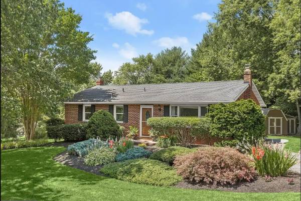 $1250.00 / 1br - Finished Basement - Separate Entrance and driveway - Shared kitchen63694835861123120