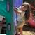 Home away from home daycare 23 thumbnail
