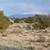 4.63-Acre Land for Sale – Williams, AZ 1 thumbnail