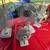 Large Yard Sale - Hundreds of square feet 1 thumbnail