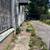 1511 B Franklin Avenue 3 thumbnail