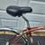 1960 JC Higgins Sears (Austria) Cantilever Frame 3 speed 10 thumbnail