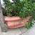 Jelly bean succulents in a pretty terracotta pot 4 thumbnail