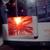 HALLOWEEN Spider Light Decoration Decor Animation Vintage New Lights 9 thumbnail