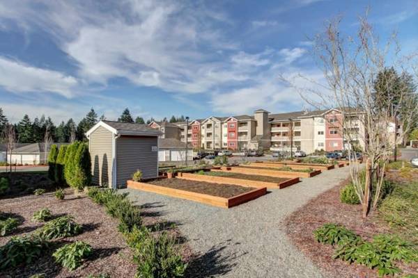 $1,474 / 2br - 774ft2 - Situated in Olympia!, 2/bd, Outdoor covered courtyard (3600 Forestbrooke Way SE, Olympia, WA)63929304394882120