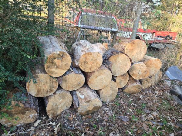 Free : Tree rounds 1