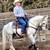 Training - Rider and Horse 1 thumbnail