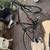Schwinn Phocus 1400 5 thumbnail