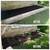 SOD/Mulch/Retaining Walls/Maintenance 8 thumbnail