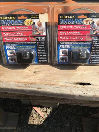 Gun Locks 1
