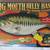 Big Mouth Billy Bass 1 thumbnail