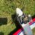 Phoenix Model Sonic Mk2 Low-Wing 4 thumbnail