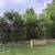 Landscaping Provided 5 thumbnail