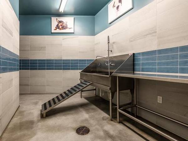 $4,129 / 2br - 1497ft2 - Gorgeous 2 BR  Original 1926 Facade + Vibrant Retail Steps Awa (Capitol Hill)63870757901185124