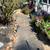 CUTTING EDGE LANDSCAPING SERVICES..A cut above the rest 12 thumbnail