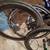 HED Wheelset white industry hubs 6 thumbnail