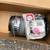 VINTAGE COLEMAN LANTERNS WITH ORIGINAL CASES GLAMPING CAMPING 7 thumbnail