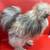 Silkies!!!! - BIG SALE!!!! 2 thumbnail