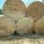Hay hay hay located in st hedwig 78152 1 thumbnail