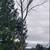 K RUSH TREE SERVICE AND LANDSCAPING LLC 12 thumbnail