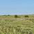 320± Acres Grass Pasture, Cropland, Ponds & More! 22 thumbnail