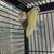 Lovebirds 10 thumbnail