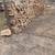 Split firewood 2 thumbnail