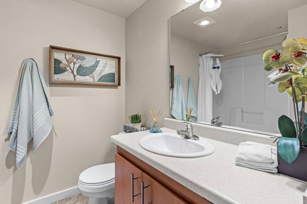 $1,549 / 1br - 839ft2 - Pet friendly, now offering up to $500 off of move-in costs :)63669139182851124