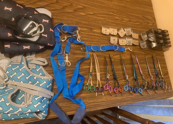 Dog Grooming Tools 1