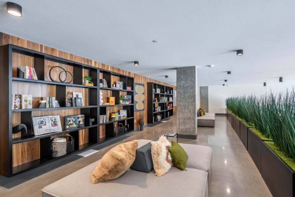 Commuter-Friendly Shoreline Apartment – Near Light Rail 1