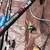🎣 FISHING 🎣 RODS,REELS, & OTHER 🐠 FISHING ITEMS 🐠 7 thumbnail