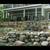 Landscaping. Retaining rock walls and patios 2 thumbnail