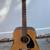 Yamaha F310 - Full Size Acoustic Guitar in Natural Wood Colour 1 thumbnail