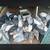 Guinea Keets 11 thumbnail