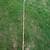 Pole Saw Pruner 2 thumbnail
