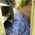 JUNK REMOVAL  (650)716-7248 3 thumbnail